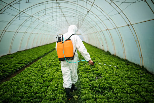 Best Commercial Pest Control Services  in Benson, MN