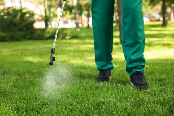 Best Commercial Pest Control Services  in Benson, MN