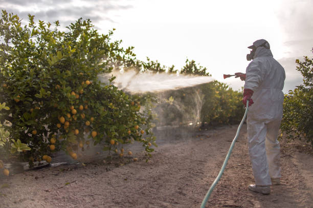 Trusted Benson, MN Pest Control Experts