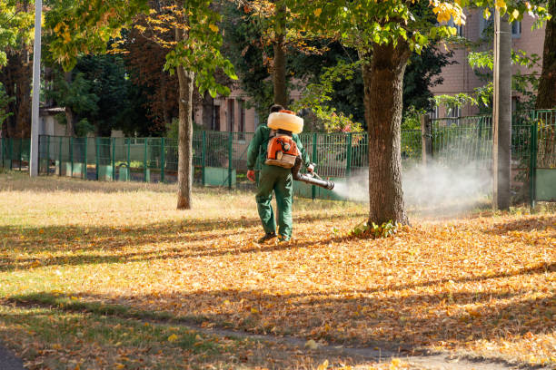 Best Affordable Pest Control Services  in Benson, MN